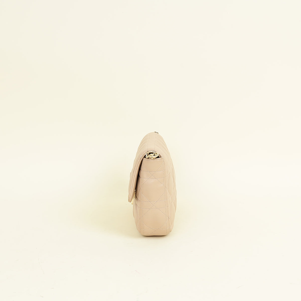 Christian Dior Nude Miss Dior Promenade Pouch Clutch