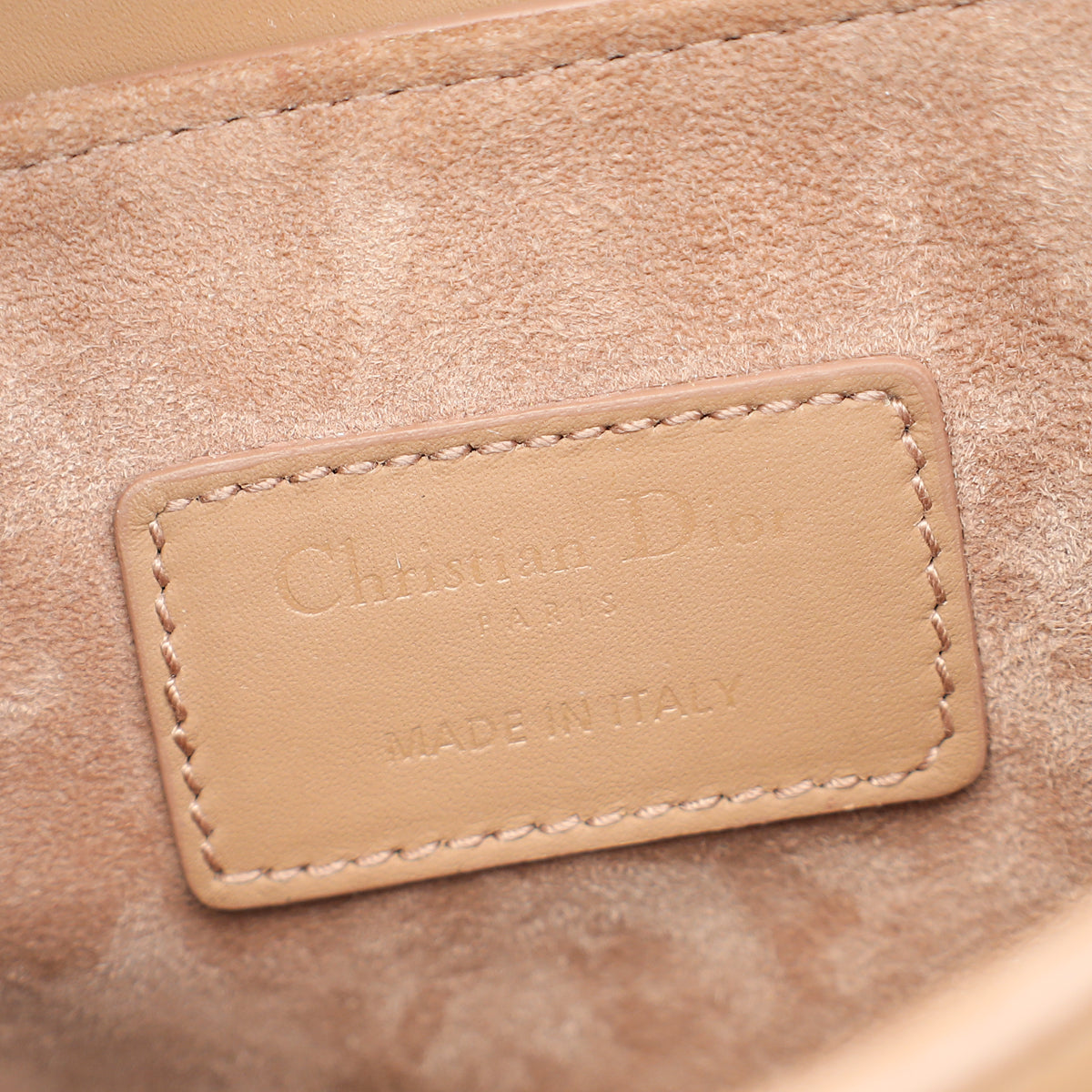 Christian Dior Blush Saddle Ultra Matte Mini Bag