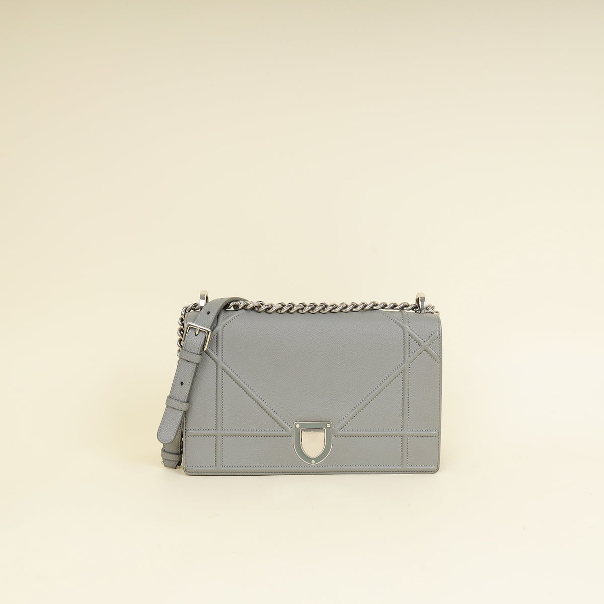 Christian Dior Grey Diorama Flap Shoulder Bag-Christian Dior-THE CLOSET