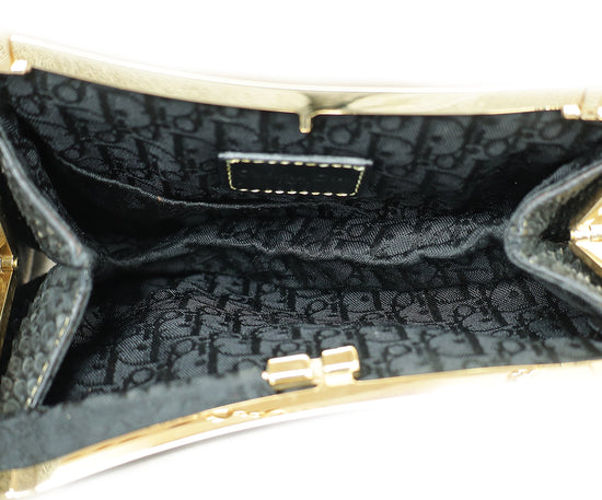 Christian Dior Black Python Saddle Mini Pouch