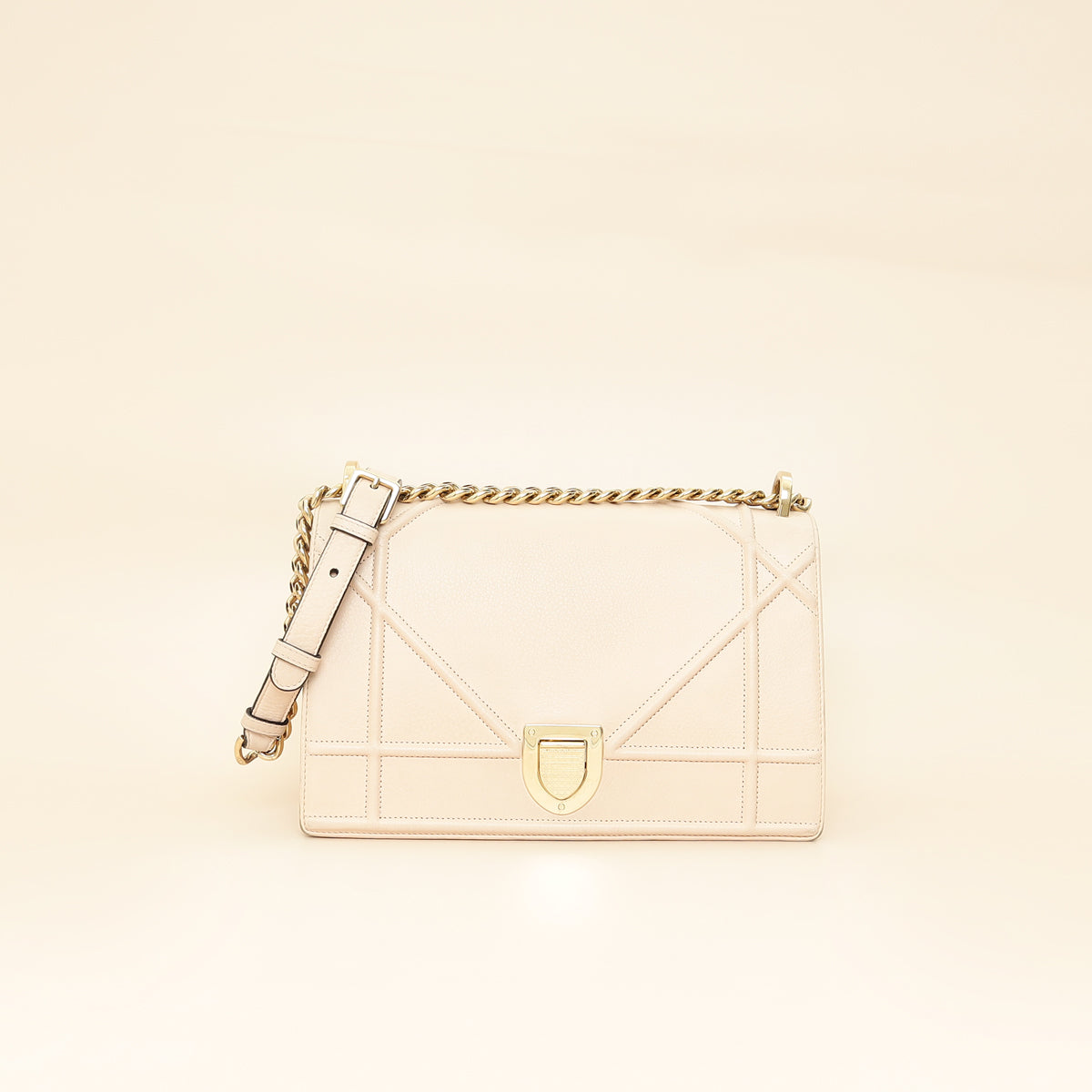 Christian Dior Light Pink Diorama Medium Shoulder Bag-Christian Dior-THE CLOSET