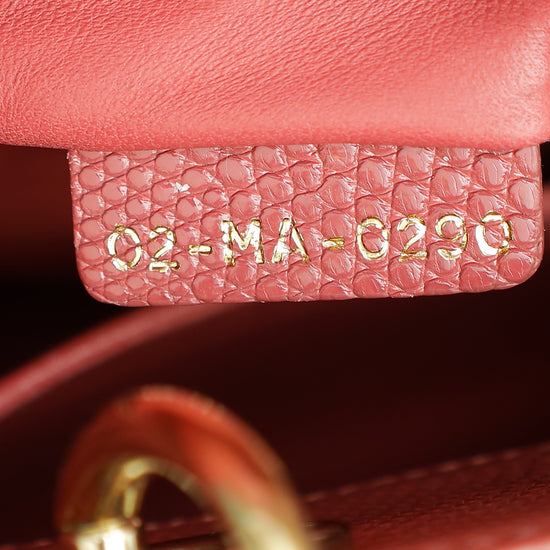 Christian Dior Old Rose Lizard Lady Dior Small Bag