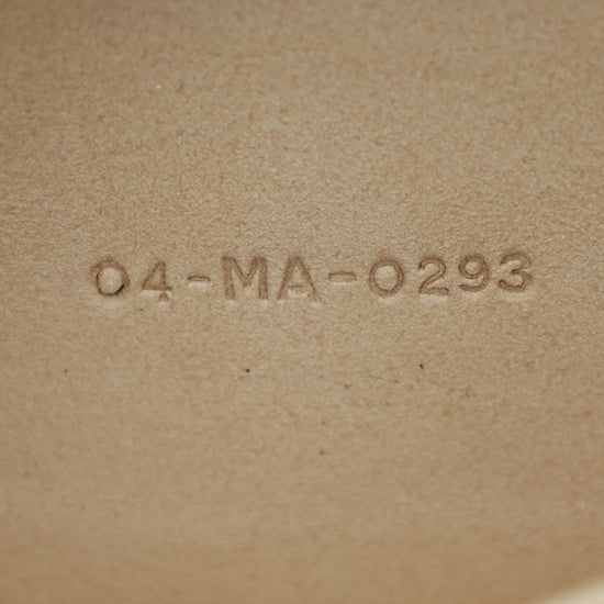 Christian Dior Multicolor Lady D-Joy Medium Raffai Albero della Vita Embroidery Bag-Christian Dior-THE CLOSET