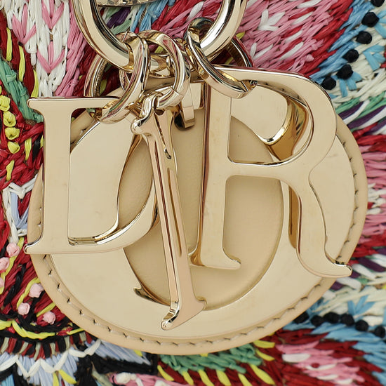 Christian Dior Multicolor Lady D-Joy Medium Raffai Albero della Vita Embroidery Bag-Christian Dior-THE CLOSET