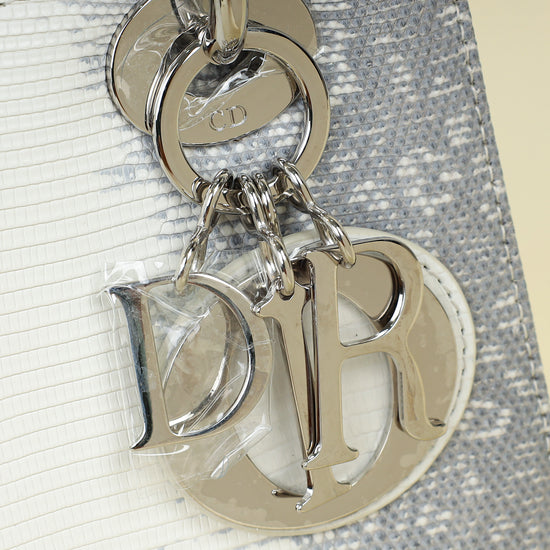 Christian Dior White Ombre Lizard Lady Dior Small Bag