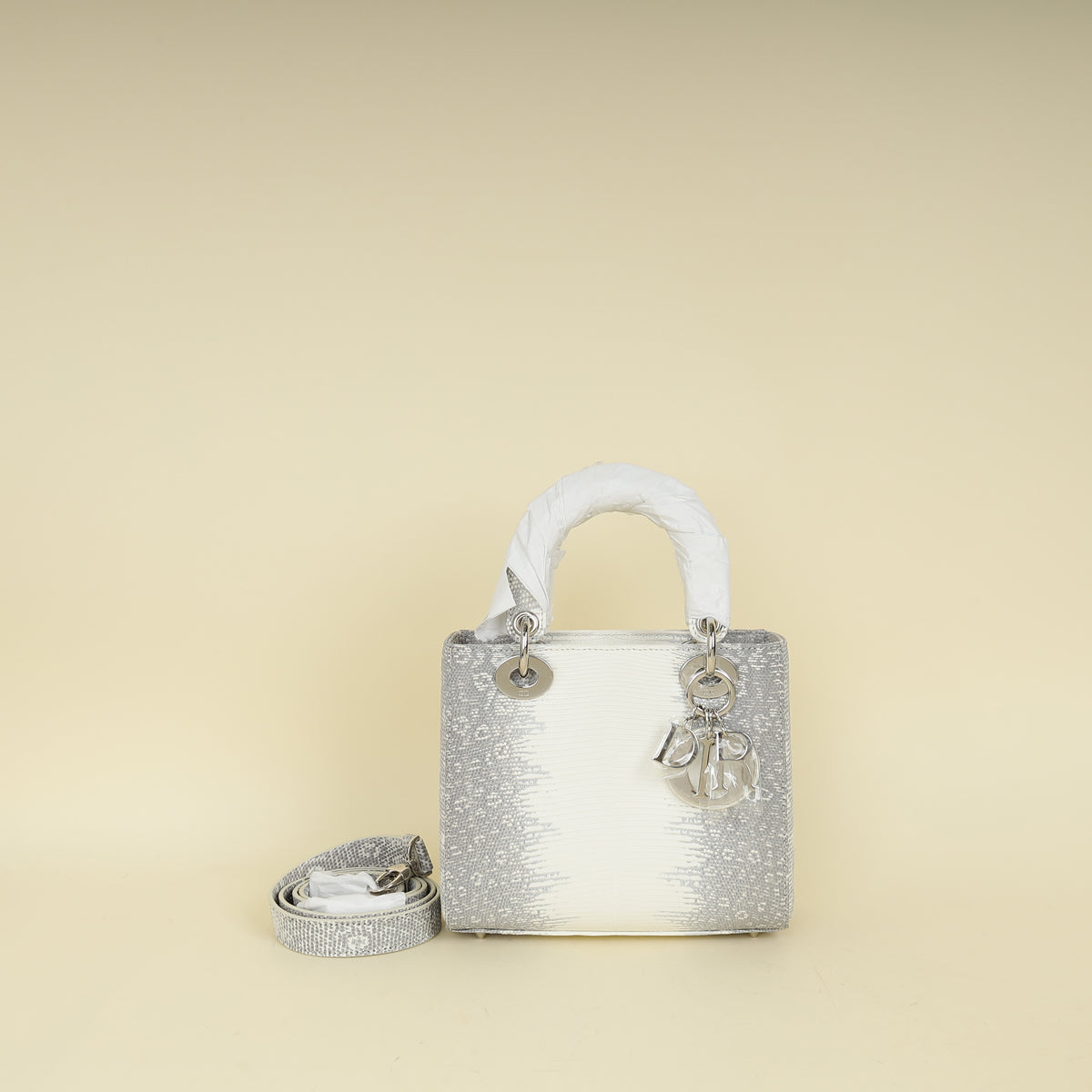 Christian Dior White Ombre Lizard Lady Dior Small Bag