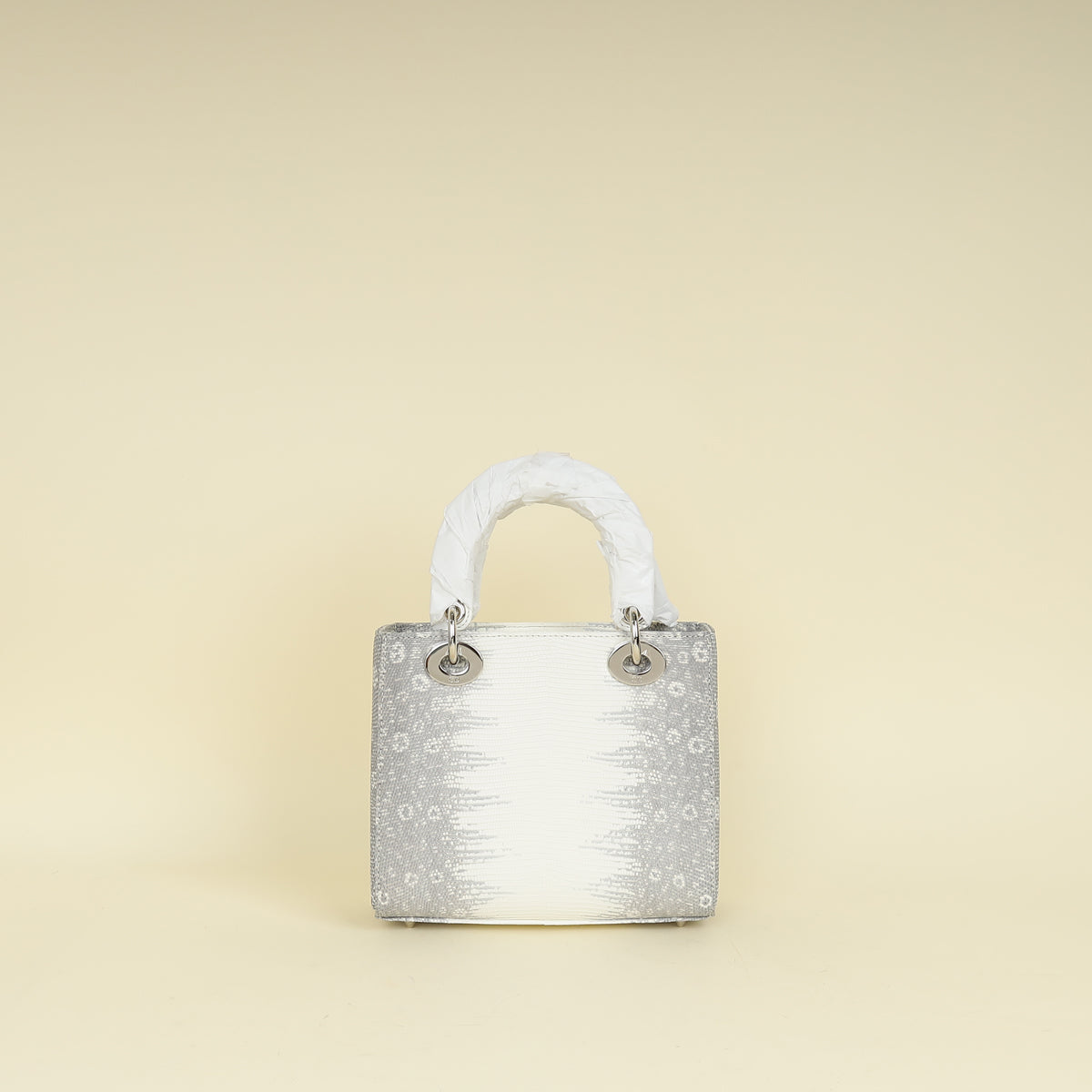 Christian Dior White Ombre Lizard Lady Dior Small Bag