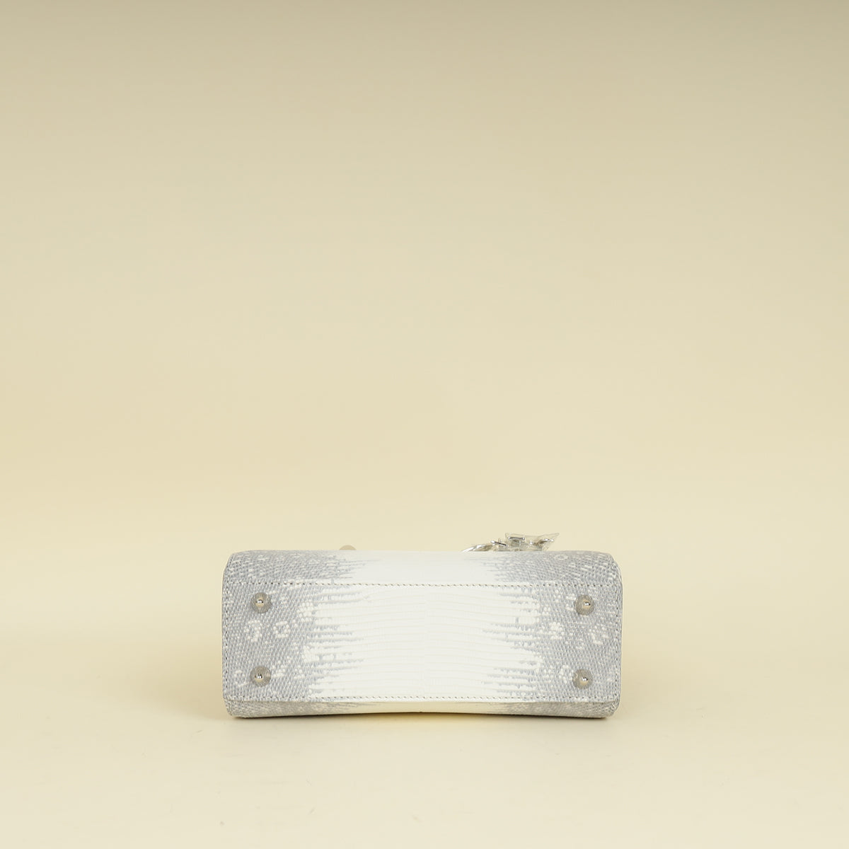 Christian Dior White Ombre Lizard Lady Dior Small Bag