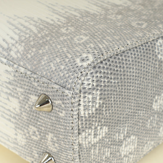 Christian Dior White Ombre Lizard Lady Dior Small Bag