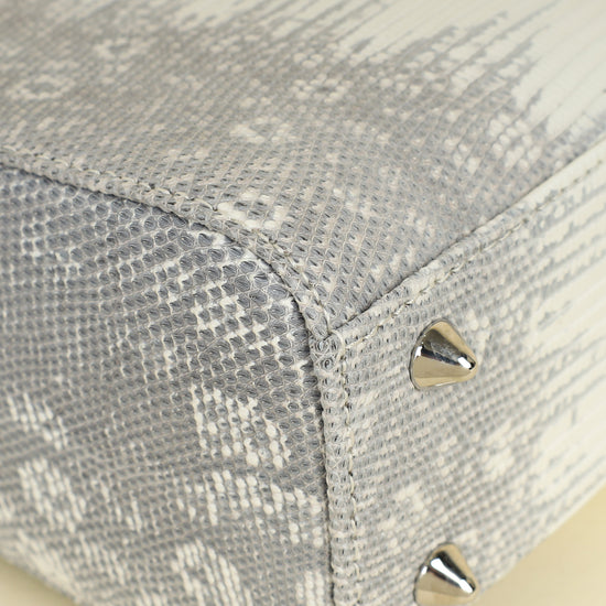 Christian Dior White Ombre Lizard Lady Dior Small Bag