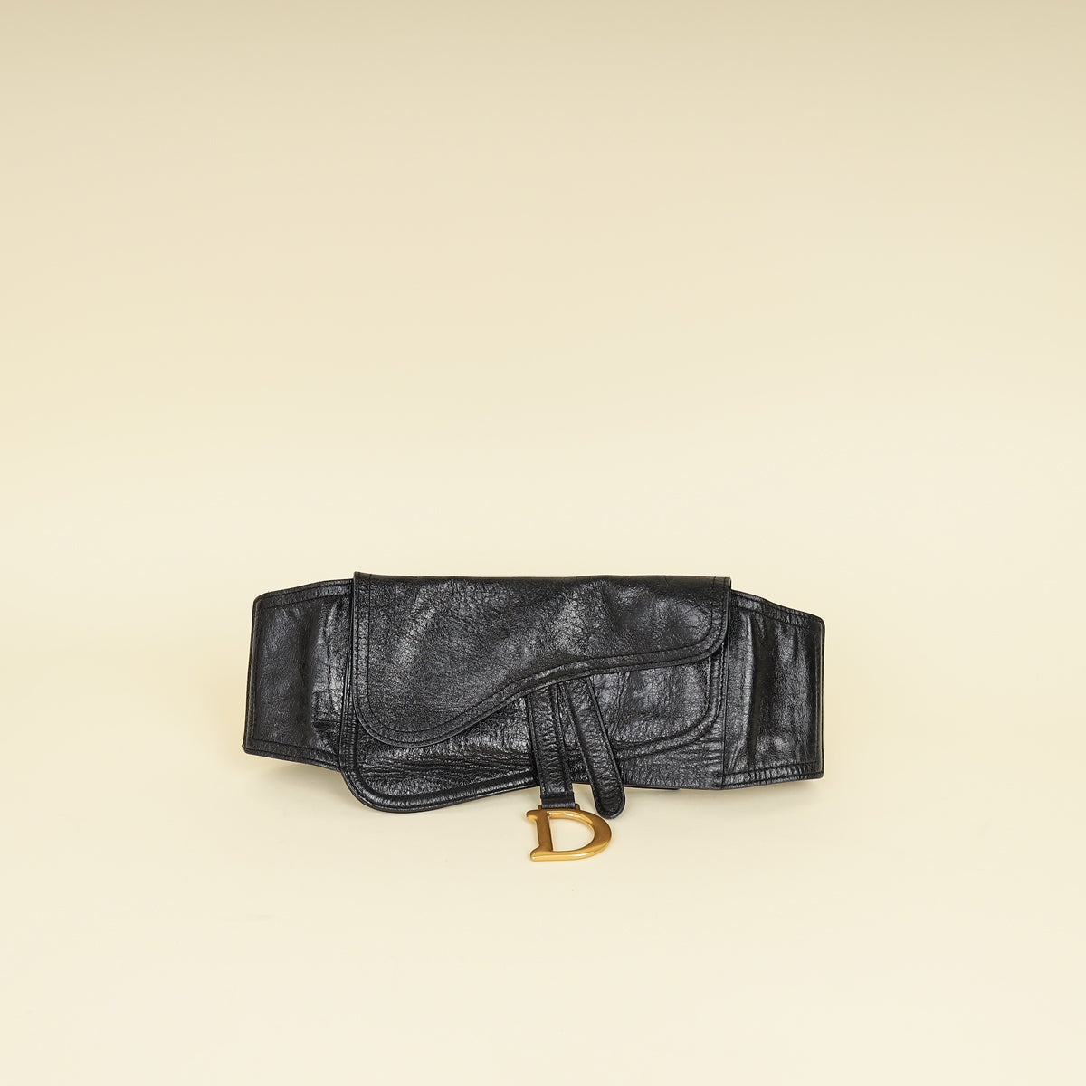 Christian Dior Black Saddle Belt Bag-Christian Dior-THE CLOSET