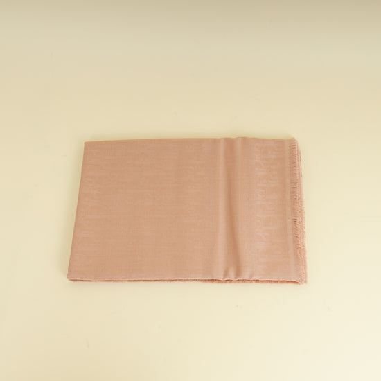 Christian Dior Rose De Vents Oblique Silk and Cashmere Shawl