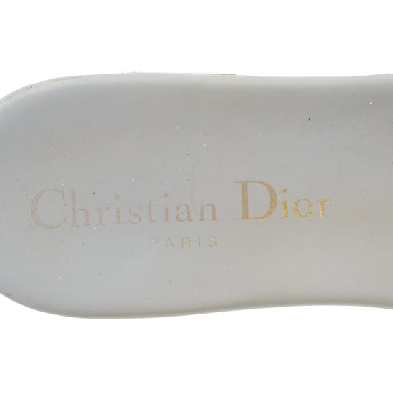 Christian Dior Metallic Grey Dway Embroidered Flat Mules 35