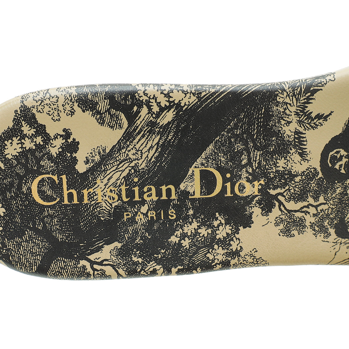 Christian Dior Bicolor Dway Toile De Jouy Embroidered Flat Sandal