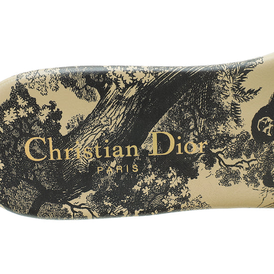 Christian Dior Bicolor Dway Toile De Jouy Embroidered Flat Sandal 36