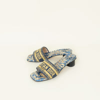 Christian Dior Bicolor Paravento Idyll Dway Heeled Slide 36