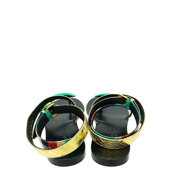 Christian Dior Multicolor Ayers Poison-D Thong Sandal 37