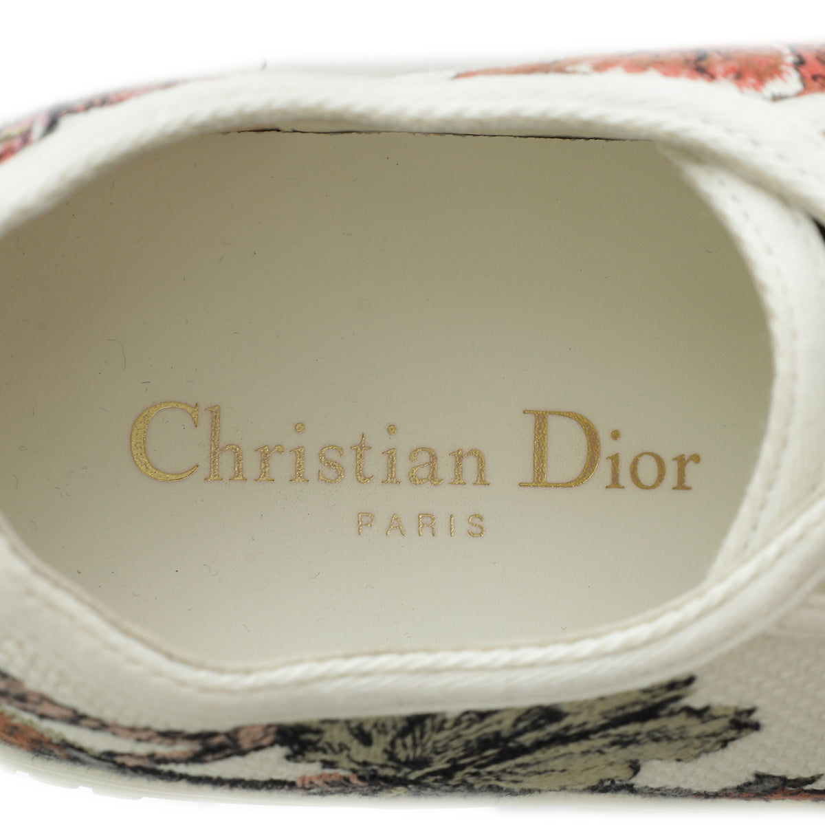 Christian Dior Multicolor Walk N' Dior Embroidered Low Top Sneaker 38.5