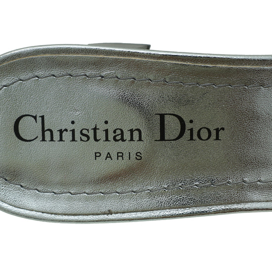 Christian Dior Multicolor Dway Embroidered Mules 39