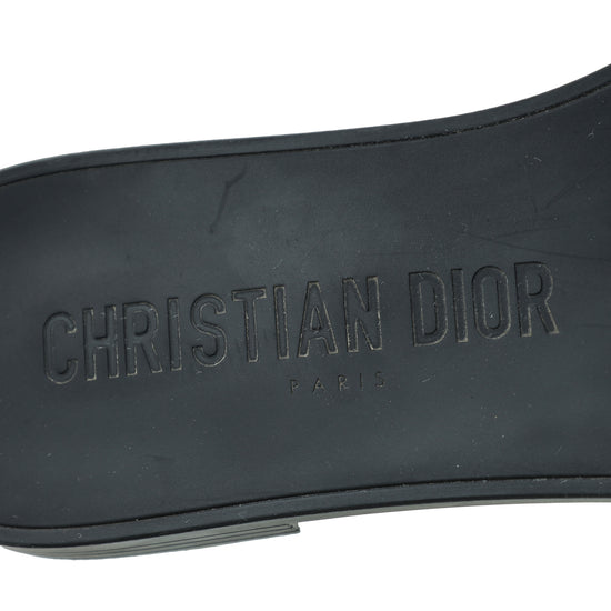 Christian Dior Bicolor Leopard Print Dio(r)evolution Flat Sandal 39