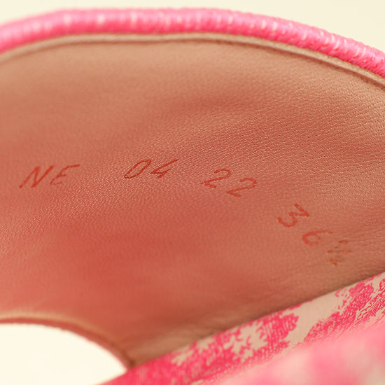 Christian Dior Bicolor Dway Toile De Jouy Embroidered Flat Slide Sandals 36.5