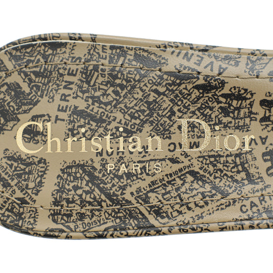 Christian Dior Plan De Paris Motif Dway Embroidered Mules 37.5