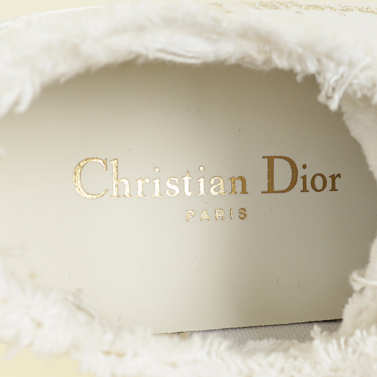 Christian Dior White Embroidered Logo Walk'n'Dior Platform Sneaker