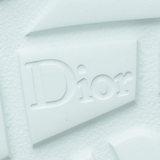 Christian Dior Bicolor Dioramour Addict Sneaker 37