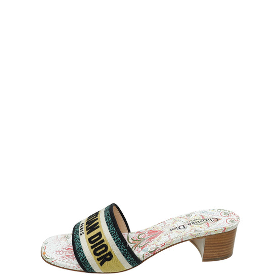 Christian Dior Multicolor Dway Embroidered Heeled Mules 39