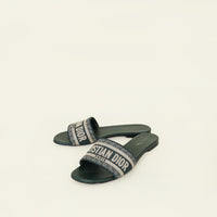 Christian Dior Green Dway Slide 39