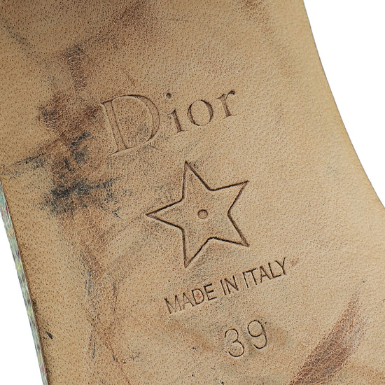 Christian Dior Gold Multicolor Dway Heeled Slide Sandals 39