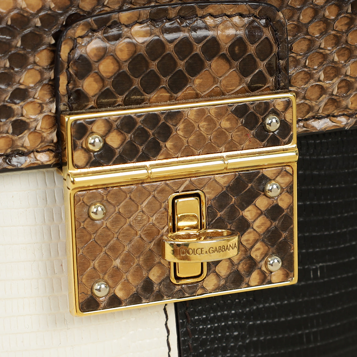Dolce & Gabbana Tricolor Rosalia Python Lizard Flap Chain Bag