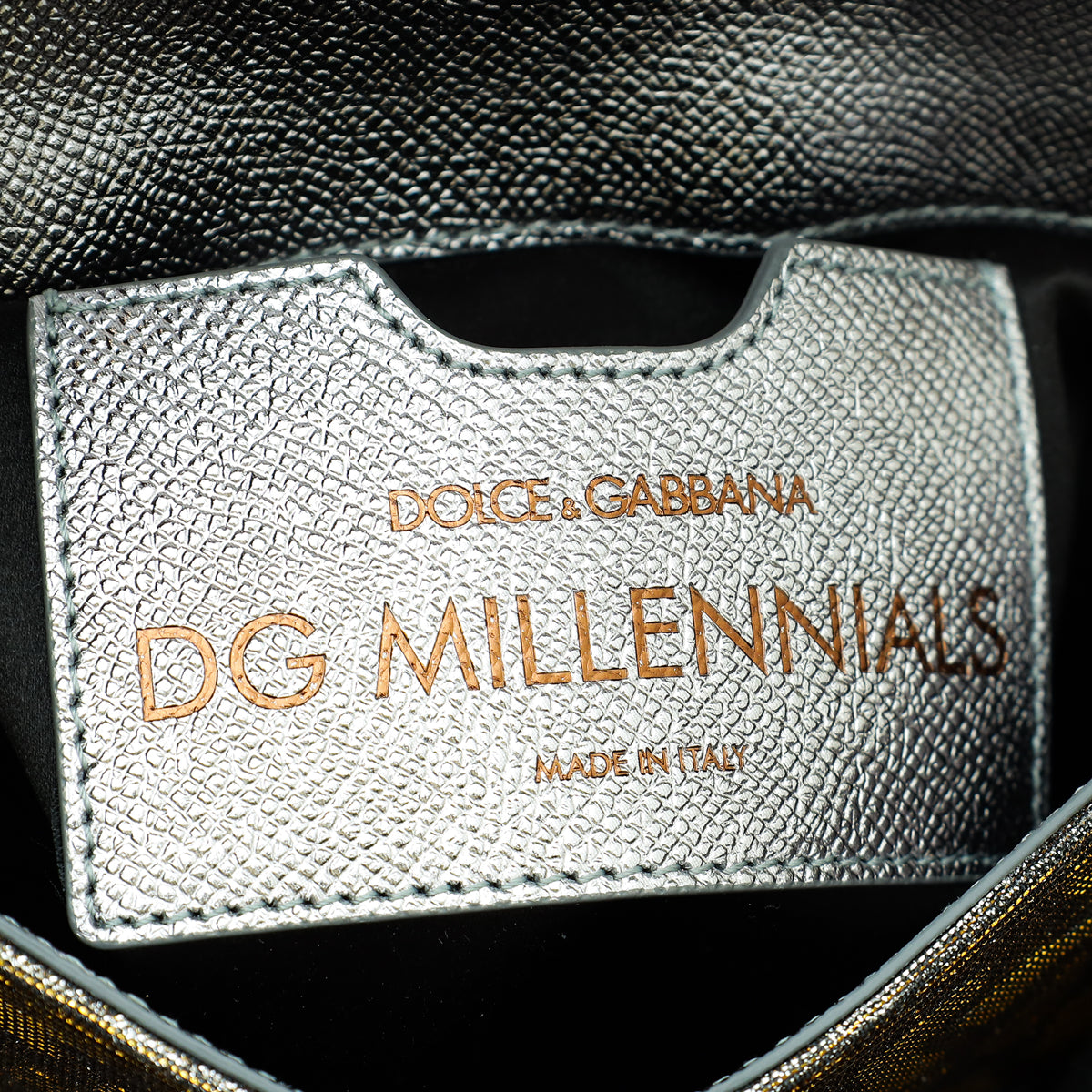 Dolce & Gabbana Metallic Silver DG Millennials Leopard-Print Mini Crossbody Bag