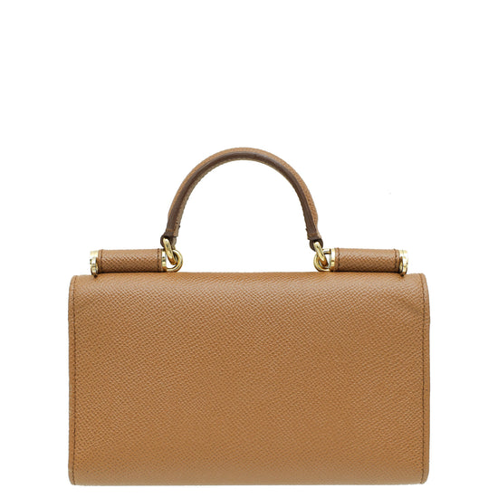 Dolce & Gabbana Brown Dauphine Sicily Von Bag