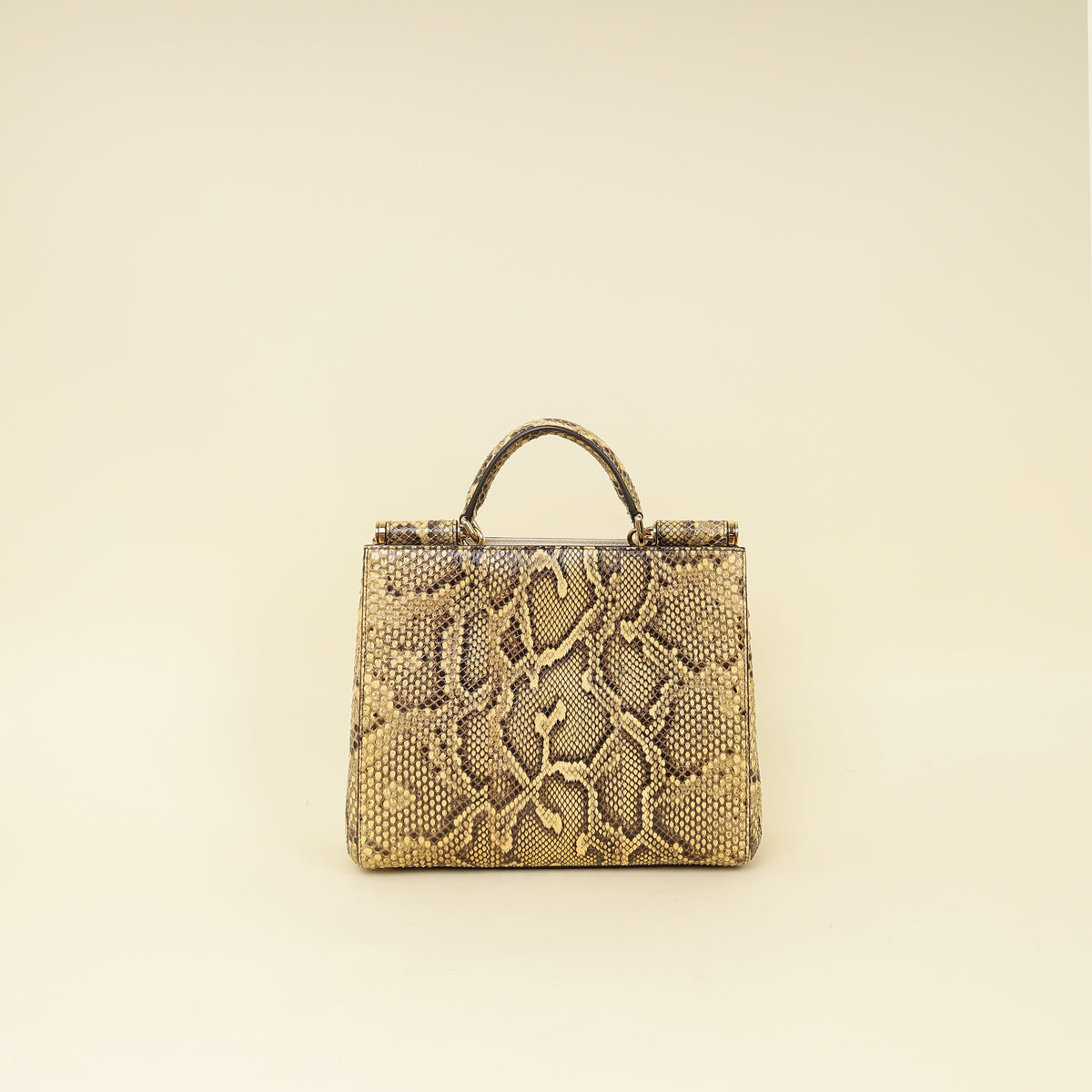 Dolce & Gabbana Beige Python Sicily Shopper Bag-Dolce & Gabbana-THE CLOSET