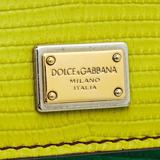 Dolce & Gabbana Multicolor Lizard Embossed Sicily Bag