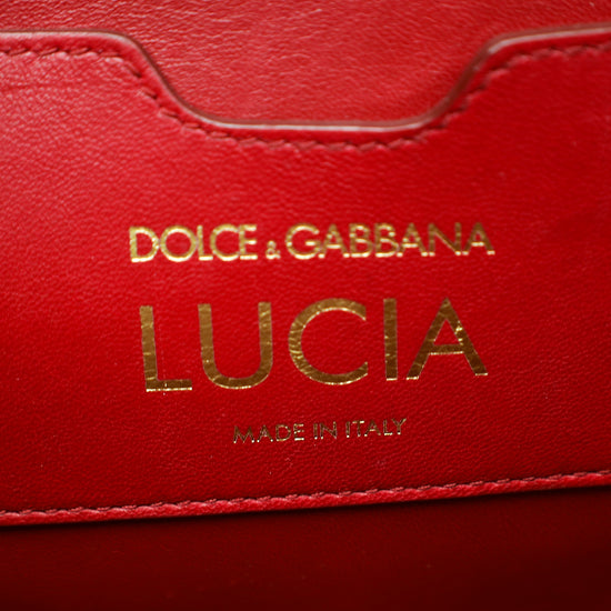 Dolce & Gabbana Grey Lucia Iguana Embossed Shoulder Bag