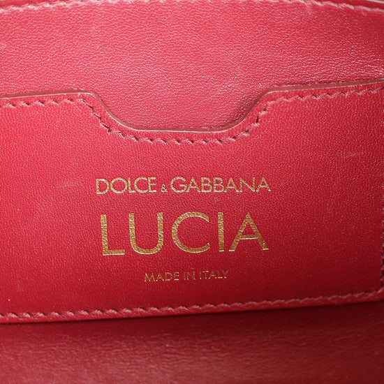Dolce & Gabbana Black Iguana Print Lucia Bag