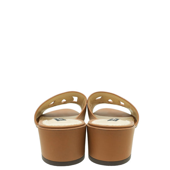 Dolce & Gabbana Brown DG Cut Out Mules 35.5