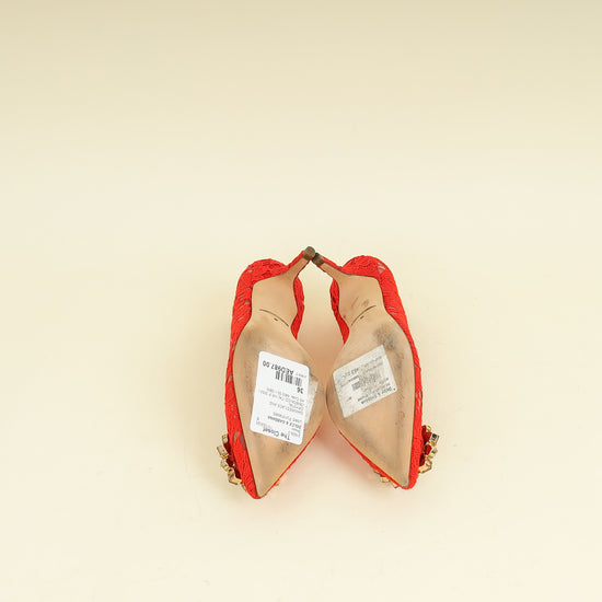 Dolce & Gabbana Red Bellucci Crystal Lace Pumps 36
