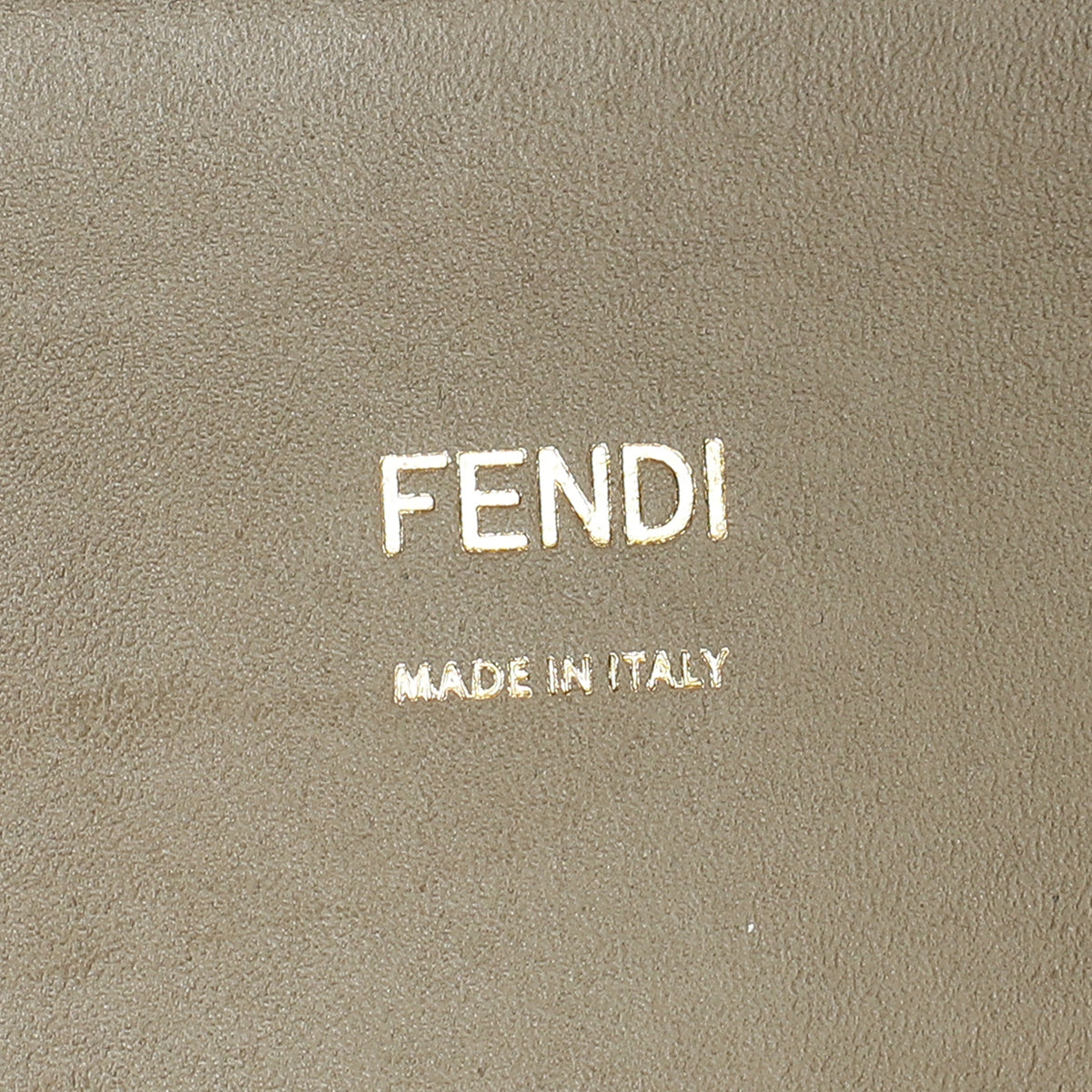 Fendi Etoupe Sunshine Medium and Elaphe Bag-Fendi-THE CLOSET