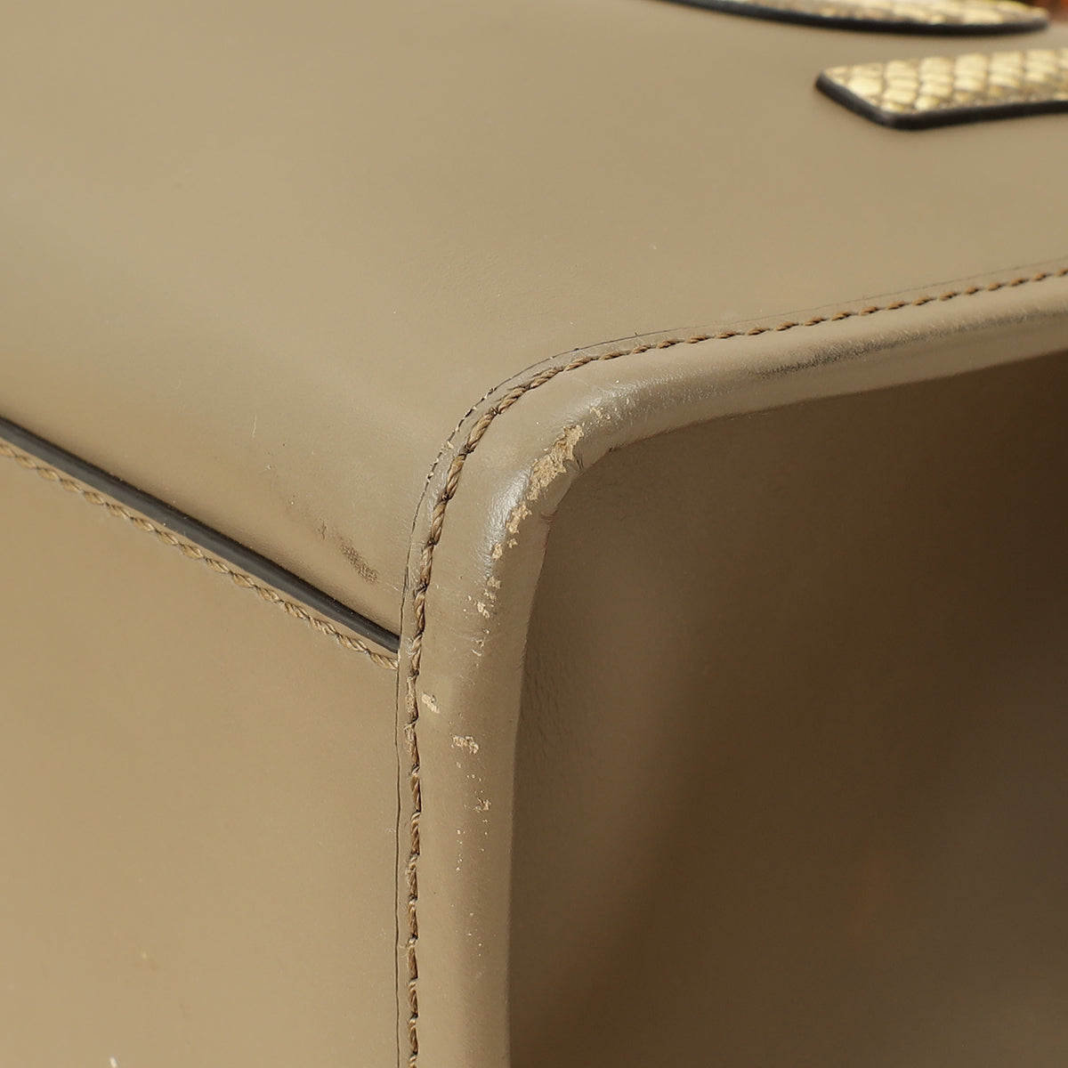 Fendi Etoupe Sunshine Medium and Elaphe Bag-Fendi-THE CLOSET