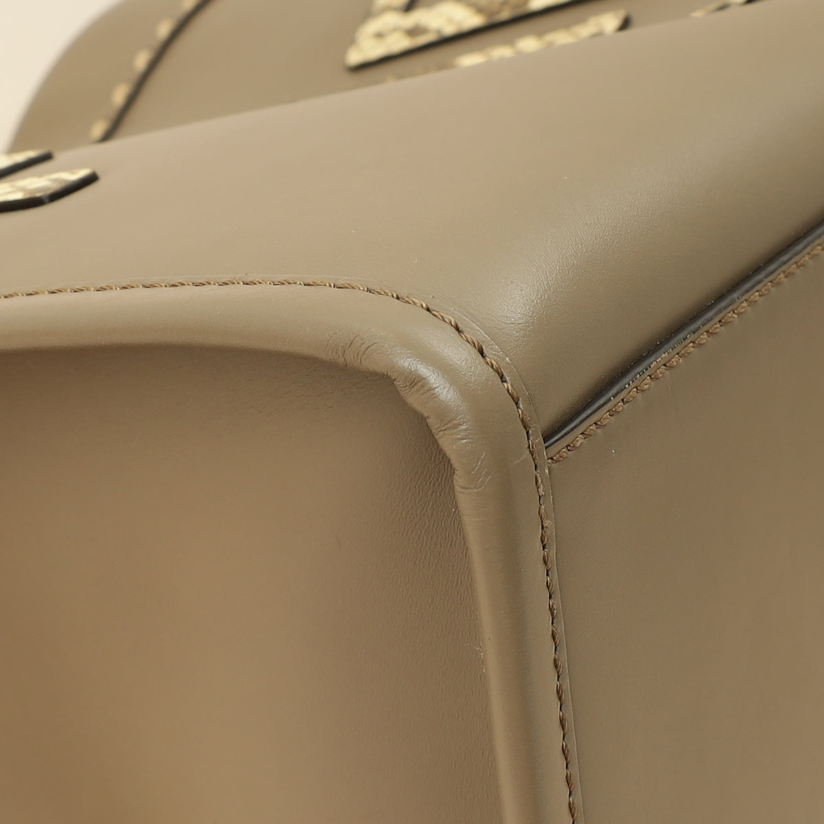 Fendi Etoupe Sunshine Medium and Elaphe Bag-Fendi-THE CLOSET