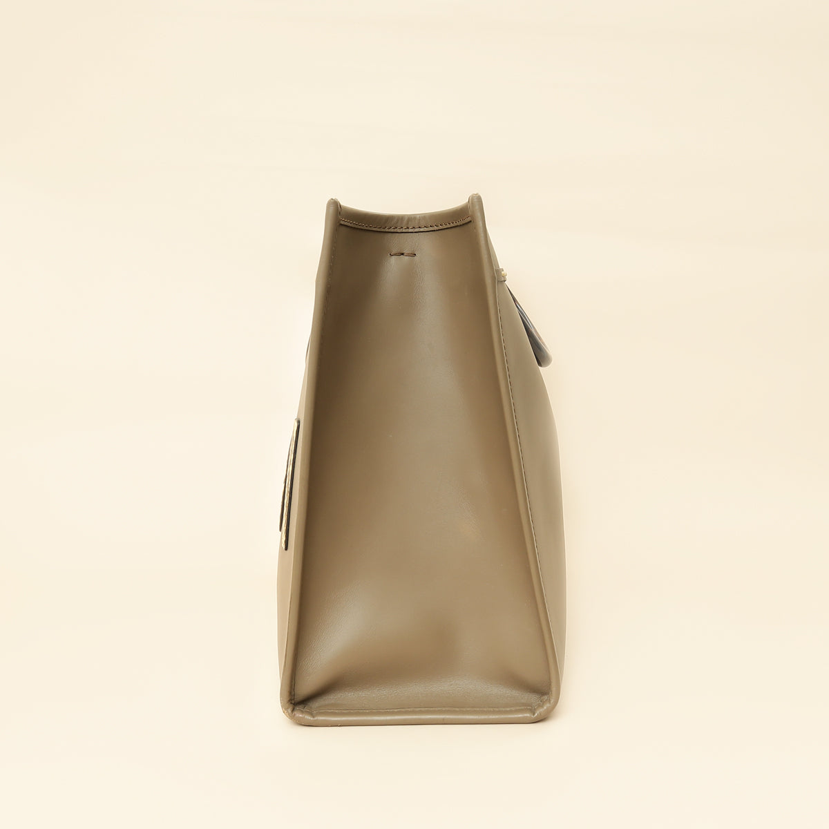 Fendi Etoupe Sunshine Medium and Elaphe Bag-Fendi-THE CLOSET