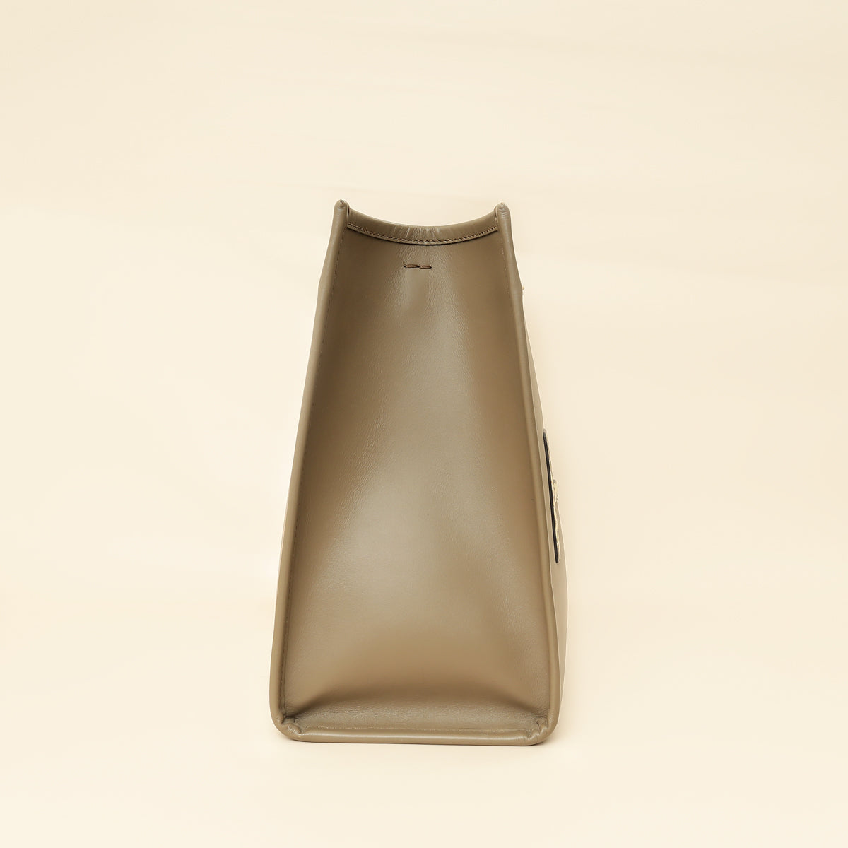 Fendi Etoupe Sunshine Medium and Elaphe Bag-Fendi-THE CLOSET