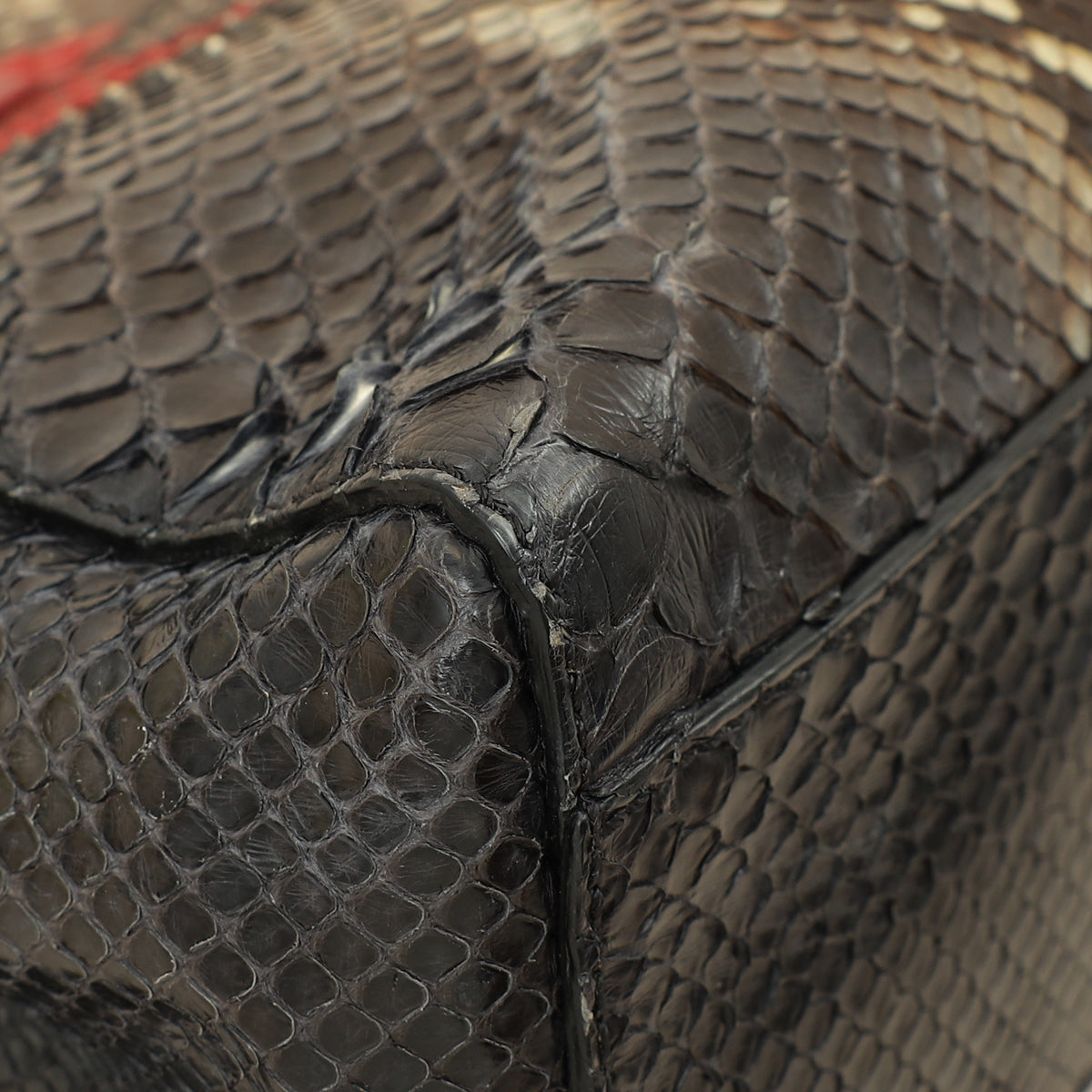 Fendi Bicolor Peekaboo Python Mini Bag-Fendi-THE CLOSET