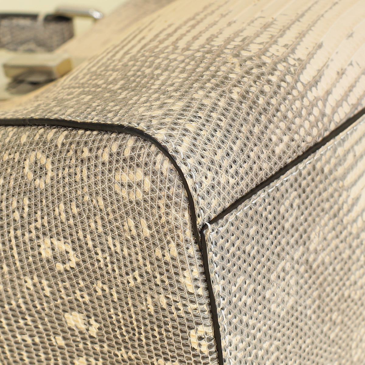 Fendi Bicolor Peekaboo Mini Lizard Bag