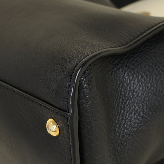 Fendi Black Peekaboo Regular Bag