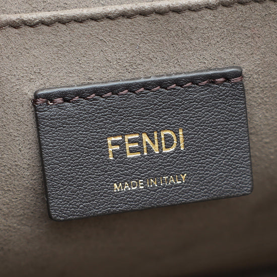 Fendi Bicolor Python Kan I Medium Bag