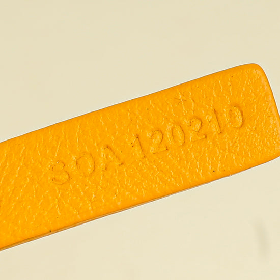 Goyard Yellow Reversible Anjou Mini Bag